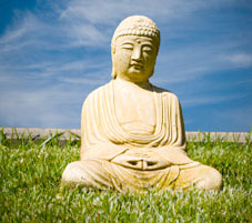 image: Zen Gardens