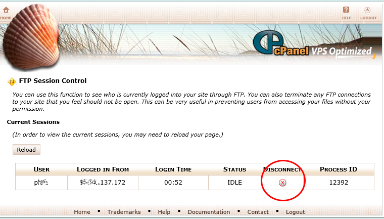 Контроль сессий FTP в cPanel