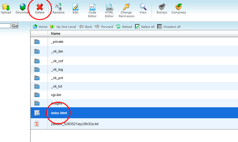 cPanel Delete Files